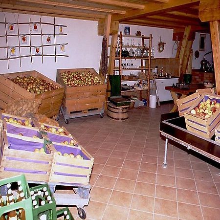 Ferienwohnung Aichem Radolfzell am Bodensee Buitenkant foto